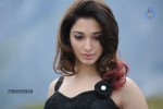 Tamanna Hot Photos - 97 of 151