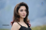 Tamanna Hot Photos - 103 of 151