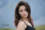 Tamanna Hot Photos - 125 of 151