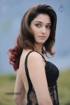 Tamanna Hot Photos - 148 of 151