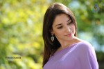 Tamanna Hot Photos - 3 of 70