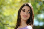 Tamanna Hot Photos - 4 of 70