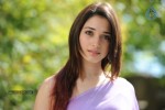 Tamanna Hot Photos - 5 of 70