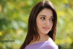 Tamanna Hot Photos - 9 of 70