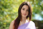 Tamanna Hot Photos - 10 of 70