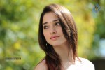 Tamanna Hot Photos - 43 of 70