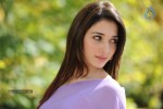 Tamanna Hot Photos - 61 of 70