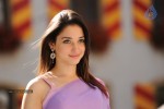 Tamanna Hot Photos - 62 of 70