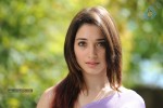 Tamanna Hot Photos - 69 of 70