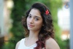 Tamanna New Photos - 5 of 69