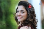 Tamanna New Photos - 6 of 69