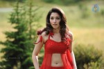 Tamanna New Photos - 11 of 69