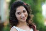 Tamanna New Photos - 45 of 69