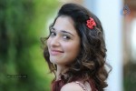 Tamanna New Photos - 59 of 69