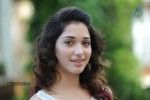 Tamanna New Photos - 69 of 69