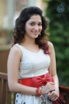 Tamanna New Pics - 19 of 45