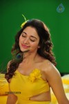 Tamanna New Spicy Photos - 19 of 89