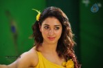 Tamanna New Spicy Photos - 66 of 89