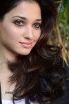 Tamanna New Stills - 81 of 82