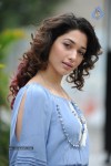 Tamanna Photo Gallery - 66 of 110