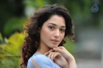 Tamanna Photo Gallery - 74 of 110
