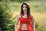 Tamanna Spicy Stills - 45 of 102