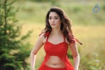 Tamanna Spicy Stills - 51 of 102