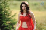 Tamanna Spicy Stills - 66 of 102