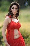 Tamanna Spicy Stills - 67 of 102