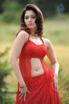 Tamanna Spicy Stills - 68 of 102