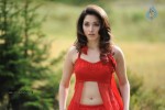 Tamanna Spicy Stills - 70 of 102