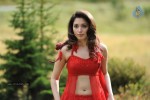 Tamanna Spicy Stills - 73 of 102