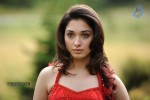 Tamanna Spicy Stills - 76 of 102