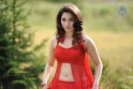 Tamanna Spicy Stills - 83 of 102