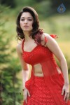 Tamanna Spicy Stills - 98 of 102