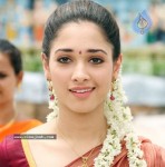 Tamanna Stills - 6 of 40