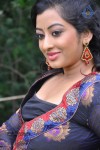 Tanishka Stills - 50 of 74