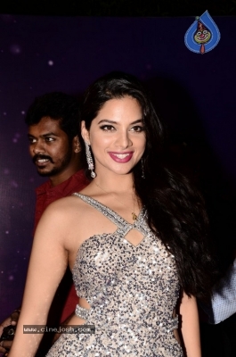 Tanya Hope At Zee Apsara Awards - 13 of 20