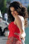 Tapsee High Resolution Stills - 1 of 43