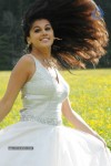 Tapsee High Resolution Stills - 20 of 43