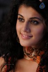 Tapsee Hot Gallery - 47 of 66