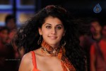 Tapsee Hot Gallery - 61 of 66