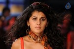 Tapsee Hot Gallery - 64 of 66