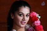 Tapsee Hot Stills - 16 of 112
