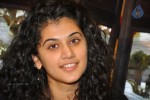 Tapsee Latest Stills - 55 of 72