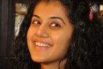 Tapsee Latest Stills - 56 of 72