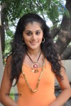 Tapsee Latest Stills - 49 of 52