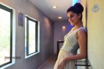 Tapsee New Photos - 17 of 27