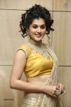 Tapsee New Stills - 18 of 95