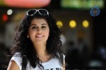 Tapsee New Stills - 18 of 23